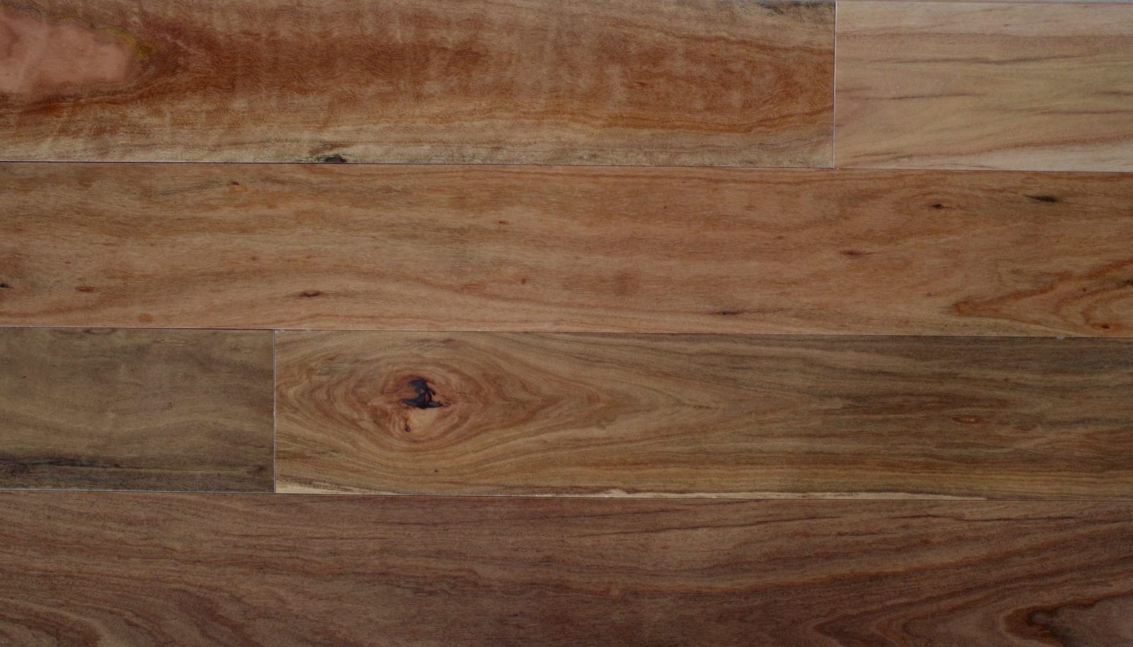 Red Ironbark