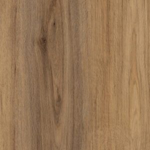 Natural Spotted Gum