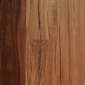 Spotted Gum – Rustic (180mm)
