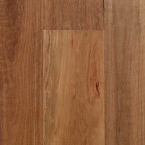 Spotted Gum – Std & Better (180mm)
