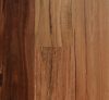 Spotted Gum - Rustic (180mm)